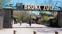 BRONX ZOO NEW YORK